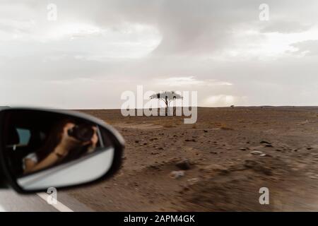 Miroir d'aile avec reflet de la femme en voiture prendre photo du paysage avec appareil photo, Fez, Maroc Banque D'Images