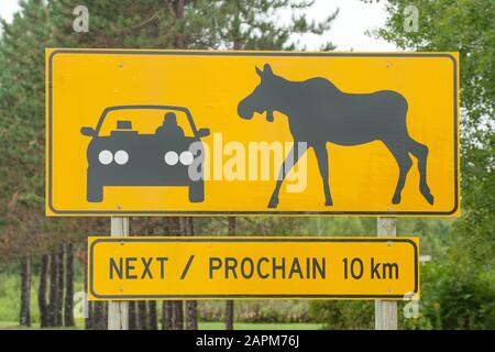 Signe d'avertissement de passage à l'orignal sur la route canadienne en Nouvelle-Écosse, au Canada Banque D'Images