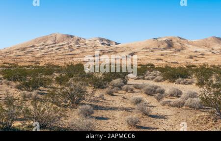 Vue sur le désert de Mojave en hiver. Réserve Nationale De Mojave. Californie. ÉTATS-UNIS Banque D'Images