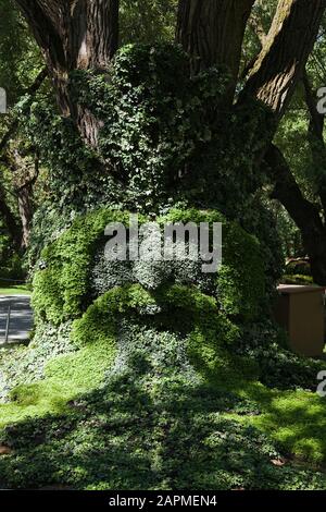 Sculpture de plantes vivantes appelée « les pirates des bois-l'homme vert » créé sur des formes en maille de métal remplies de terre et plantées avec diverses plantes Banque D'Images