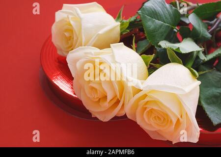 Roses et bonbon. Magnifique bouquet de roses au caramel blanc et boîte de bonbons cadeau rouge gros plan sur fond rouge avec espace de copie Banque D'Images