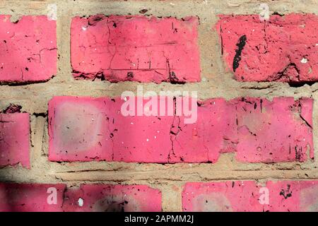 Fragment d'un vieux mur de brique peint la peinture rose avec une ombre des branches d'arbres sur une journée ensoleillée. Contexte abstrait Banque D'Images