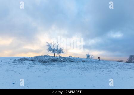 Gabala, Azerbaïdjan - 20 janvier 2020: Le photographe prend des photos d'arbres congelés Banque D'Images