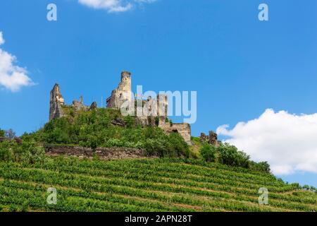 Région viticole, vignes, ruines du château de Senftenberg, Senftenberg, Kremstal, Wachau, Basse-Autriche, Autriche Banque D'Images