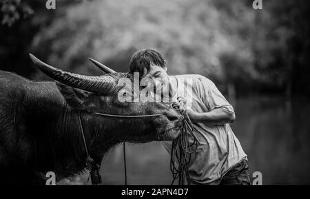 Fermier asiatique et buffle d'eau dans la ferme Banque D'Images