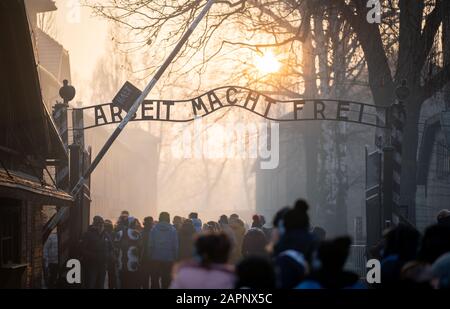 Oswiecim, Pologne. 24 janvier 2020. Tôt le matin, les visiteurs marchent à travers la porte de l'ancien camp de concentration Auschwitz I avec le lettrage 'Arbeit macht frei'. 27.01.2020 marque le 75ème anniversaire de la libération du camp de concentration par l'Armée rouge. De 1940 à 1945, les SS ont exploité le complexe avec de nombreux camps satellites comme camps de concentration et d'extermination. Le nombre de personnes assassinées s'élève à 1,1 à 1,5 million, la plupart des juifs. Auschwitz est le symbole du meurtre de masse industriel et de l'extermination des Juifs. Crédit: Kay Nietfeld/Dpa/Alay Live News Banque D'Images
