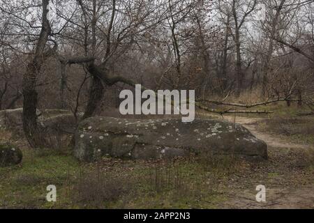 Paysage D'Automne, Parc National De Khortytsya, Île De Khortitsa, Ukraine, Europe De L'Est Banque D'Images