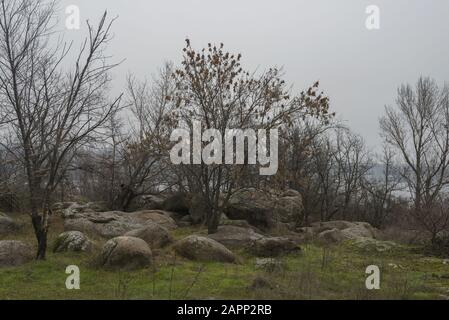 Paysage D'Automne, Parc National De Khortytsya, Île De Khortitsa, Ukraine, Europe De L'Est Banque D'Images