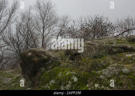 Paysage D'Automne, Parc National De Khortytsya, Île De Khortitsa, Ukraine, Europe De L'Est Banque D'Images