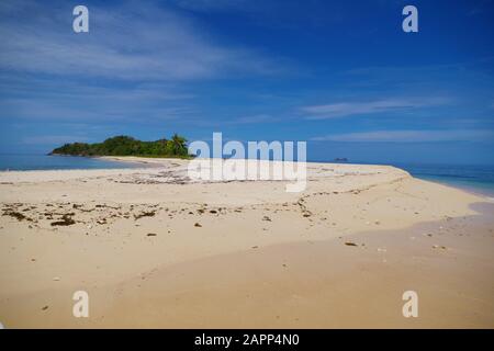 Une petite île déserte dans l'archipel des Philippines. L'île dispose d'une belle plage de sable et d'un espace de palmiers qui s'étend au loin. Banque D'Images