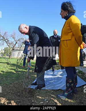 Le prince de Galles participe à une cérémonie de plantation lors d'une visite en Israël et dans les territoires palestiniens occupés dans un couvent historique de Bethléem, dans une oliveraie traditionnelle et un verger de fruits. Banque D'Images