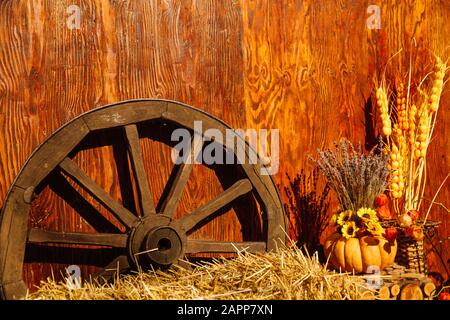 Une ancienne roue en bois se tient dans le foin, et à côté de la roue un bouquet de fleurs se tient dans un vase de citrouille. Banque D'Images