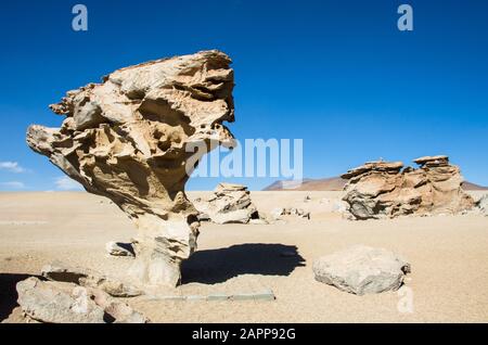 Arbre en pierre Arbol de Piedra sur le plateau Altiplano, Bolivie Banque D'Images