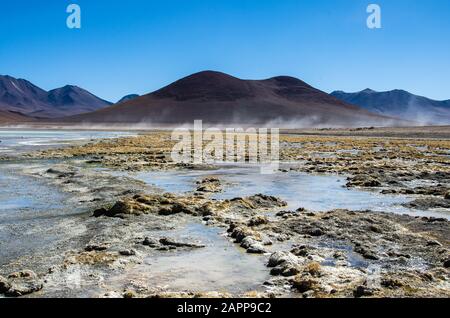 James et Chilien flamingos à Laguna Hedionda situé dans l'altiplano bolivien près de l'Uyuni Salt Flat (Salar de Uyuni) en Bolivie, en Amérique du Sud. Banque D'Images