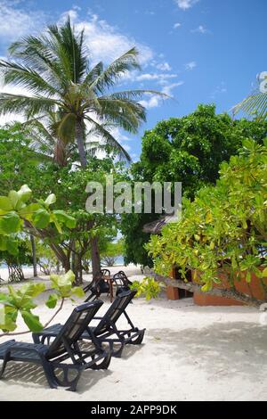 Une petite île dans l'archipel des Philippines. Il y a deux chaises longues sur une plage de sable. Une petite cabane se tient entre les palmiers. Banque D'Images