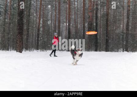 une jeune femme joue avec un chien dans une forêt hivernale pendant une chute de neige Banque D'Images