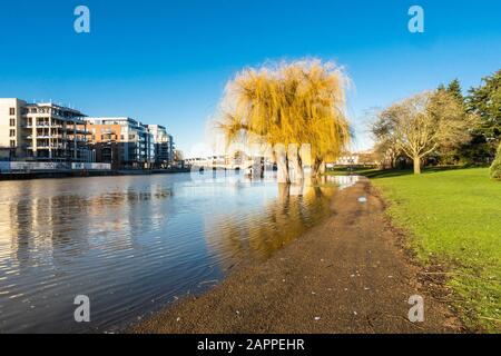 La rivière Nene en crue dans le centre de Peterborough, Cambridgeshire, en janvier 2020 Banque D'Images