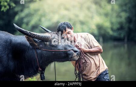 Fermier asiatique et buffle d'eau dans la ferme Banque D'Images