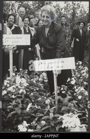 T.G.V. le 60ème anniversaire de Rosa Spier, la célèbre harpiste hollandaise, déjà célébrée l'année dernière, est à Dedemsvaart un Phlox après son nom Phlox pariculta Rosa Spier. Par Rosa Spier la nouvelle plaque signalétique est placée Annotation: Selon les journaux, l'événement a eu lieu dans le Koninklijke Kwekerijen Moerheim et a été la date 11 septembre 1952 Date: 11 septembre 1952 lieu: Dedemsvaart, Overijssel mots clés: Musiciens, plantes, anniversaires Nom personnel: Spier, Rosa Banque D'Images