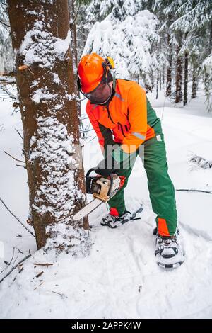 Un bûcheron au travail dans la forêt d'hiver Banque D'Images