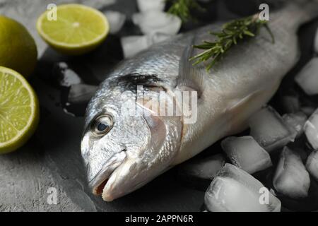 Poisson Dorado, chaux, romarin et glace sur fond gris, gros plan Banque D'Images