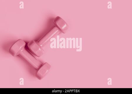 Forme physique conceptuelle et fond sportif sain avec haltère rose sur fond rose. Vue supérieure de la couche plate avec espace de copie. Banque D'Images