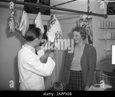Fanny Blankers-Koen à l'Amérique (au boucher) Date: 14 mai 1949 lieu: Amsterdam, Noord-Holland mots clés: Athlètes, bouchers Nom personnel: Blankers-Koen, Fanny Banque D'Images