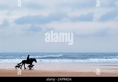 Cavalier sur la plage avec deux chiens silhouettés contre la mer du Nord Banque D'Images