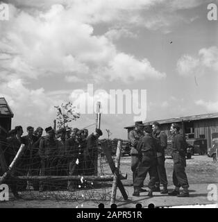 Capitulation: Harskamp [camp où des hommes SS et des Landwachters ont été internés] Prisonniers de guerre Annotation: Dans ce camp, environ 4000 prisonniers néerlandais SS ont été logés (y compris l'armée, Landstorm, Viking, Germania, Holl. Grüne Polizei etc.) en attente de procès Date: Juin 1945 lieu: Gueldre, Harskamp mots clés: Camps d'internement, prisonniers de guerre, militaires Banque D'Images
