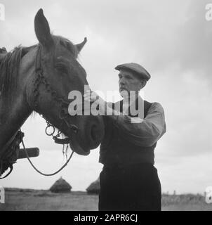 Série sur les familles Limburg Smedts et Poels de Horst qui a aidé à cacher environ 300 pilotes alliés (abattu au-dessus des Pays-Bas) dans la ferme de Zwarte Plak et à travers la frontière avec la Belgique a pu apporter. Smedts, Date: Août 1945 lieu: Amérique, Horst, Limbourg mots clés: Pilotes, combattants de la résistance Nom personnel: Smedts, Banque D'Images
