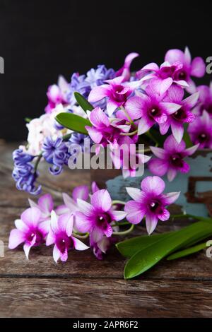Orchidées et jacinthes frais dans une caisse en bois vintage Banque D'Images