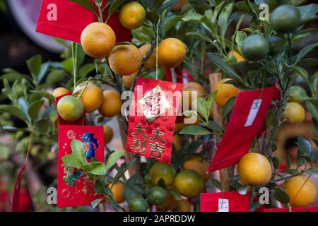 Bangkok, Bangkok, Thaïlande. 24 janvier 2020. Les gens affluent vers les temples chinois et les rues du quartier chinois de Bangkok, connu sous le nom de Yaowarat, à la veille du nouvel an chinois. Cette nouvelle année marquera l'année du rat en accoradance avec le zodiaque chinois. Les vêtements rouges, les oranges et les lanternes en papier sont tous des éléments traditionnels des célébrations du nouvel an chinois. Crédit: Adryel Talamantes/Zuma Wire/Alay Live News Banque D'Images