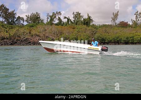 Mangroves et homme en bateau à moteur au large de la côte de Maurice. Banque D'Images