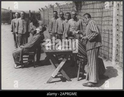Collaboration Pays-Bas. [Les prisonniers sont rasés dans le camp d'internement Vught] Annotation: Voir 900-4273 Date: Juin 1945 lieu: Pays-Bas mots clés: Guerres, guerre Banque D'Images