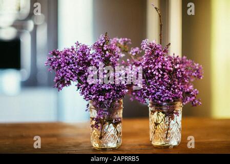 Lilas dans un pot Mason sur le comptoir de cuisine Banque D'Images