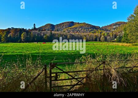 Vue sur la magnifique campagne locale autour de Dunkeld. Champs verts avec grille en fer rustique en premier plan. Montagnes revêtues d'arbres à l'arrière. Banque D'Images