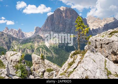 Arbre solitaire sur un rocher dans le majestueux paysage de montagne des Dolomites, Italie Banque D'Images