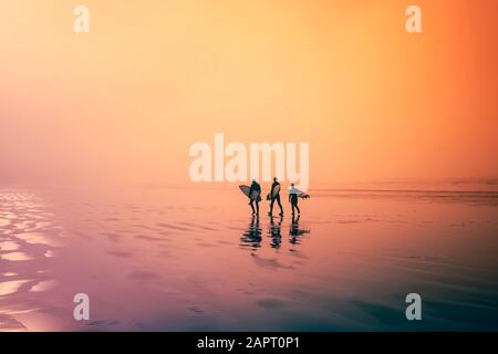 Image colorée. Tôt le matin, les surfeurs marchent sur la plage. Trois surfeurs, marchez le long d'une plage de l'océan avec leurs planches de surf à portée de main. Banque D'Images