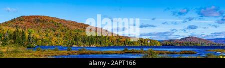 Feuillage automnal dynamique dans une forêt le long d'un lac tranquille; Lac de la montagne Noire, Québec, Canada Banque D'Images