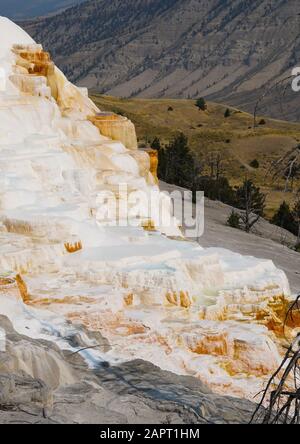 Vue Latérale Sur Les Terrasses D'Eau Thermale De Mammoth Hot Springs. Banque D'Images