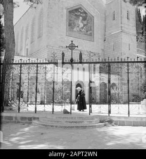 Israël 1964-1965. Ein-Karem Ein-Karim. Place près de l'église de O.L. .Lady Visitation. Contre le mur une mosaïque représentant Sainte Marie sur son chemin à sa cousine Elisabeth entourée d'anges. Au premier plan, une clôture en fer forgé avec une croix avec les figures de Marie et John Ev. Un prêtre franciscain balaie le pavé Annotation: Ein Karem, au sud-ouest de Jérusalem, est un charmant village qui est principalement visité par les pèlerins chrétiens et les touristes parce que Jean le Baptiste est né ici et y a vécu avec sa mère Elisabeth. Date: 1964 lieu: Ein Karem, Israël mots clés: Anges, franciscains, c Banque D'Images