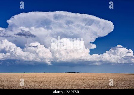 Paysage pittoresque avec le nuage de cumulonimbus orageux dans le ciel près de Goodland, Kansas Banque D'Images