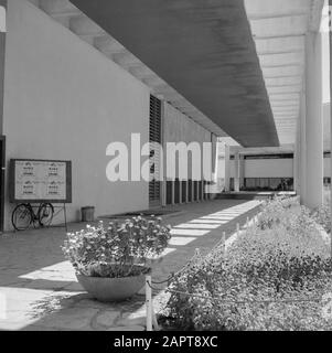 Israël 1964-1965: Tel Aviv, musées et pavillons Galerie d'un bâtiment, vraisemblablement le Musée Helena Rubenstein Date: 1964 lieu: Israël, tel Aviv mots clés: Musées Banque D'Images