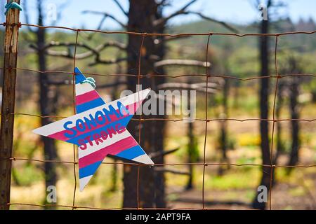 Une étoile aux rayures et aux mots américains SONOMA STRONG se trouve sur une clôture en fil rouillé devant des arbres brûlée par le feu des Tubbs de 2017 à Santa Rosa. Banque D'Images