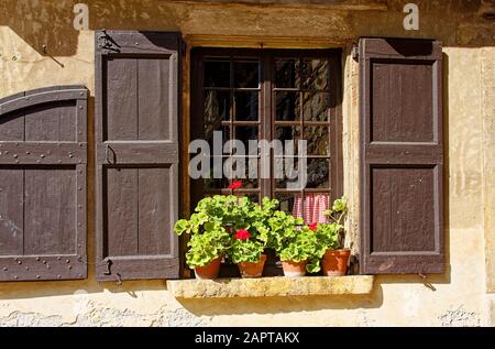 Vieille fenêtre, volets en bois résisté, geraniums brun, en pots, édifice en stuc, rideau à carreaux rouges, Perouges, France, été, horizontal Banque D'Images