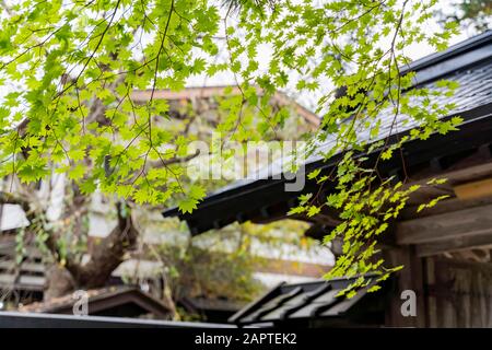 Vue extérieure de la maison de Kakunodate Samurai à Kakunodate, Japon Banque D'Images