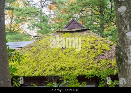 Vue extérieure de la maison de Kakunodate Samurai à Kakunodate, Japon Banque D'Images