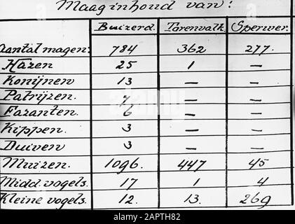 Table de nutrition Date: Non daté mots clés: Oiseaux Nom De La Personne: Buzzard, sparrow, kestrel Banque D'Images