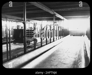 Bétail, intérieur Annotation: Koestal van de 'Annehoeve' on Landgoed de Dompt (Gemert-Bakel) Date: Non daté mots clés: Intérieur, bétail Banque D'Images