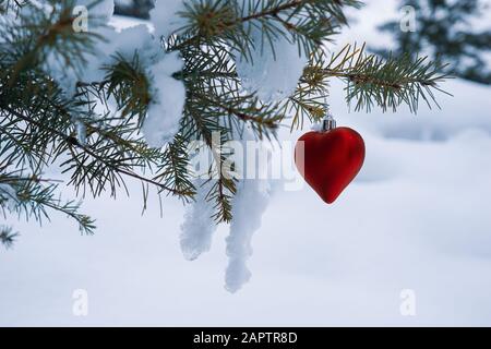 L'ornement de Noël en forme de coeur rouge se trouve sur la branche d'un arbre vergreen recouvert de neige Banque D'Images